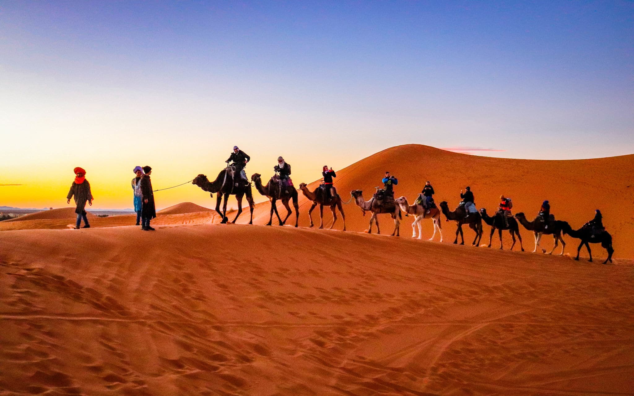 A long line of camels crossing the sand dunes of the Moroccan Desert